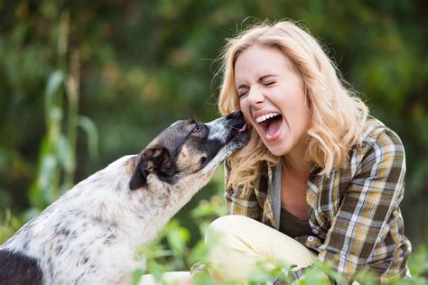 cosa vuol dire quando il cane ti lecca l'orecchio